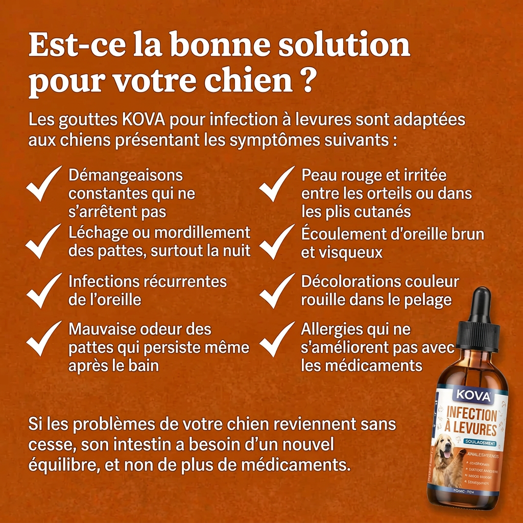 KOVA PURE™ – Gouttes Antifongiques pour Chien
