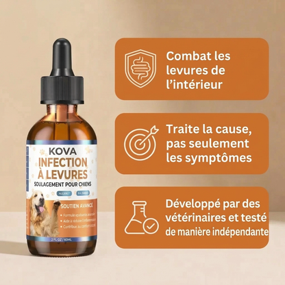 KOVA PURE™ – Gouttes Antifongiques pour Chien