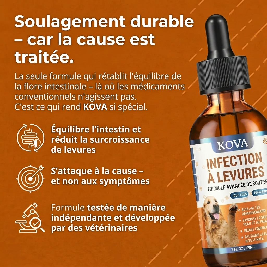 KOVA PURE™ – Gouttes Antifongiques pour Chien