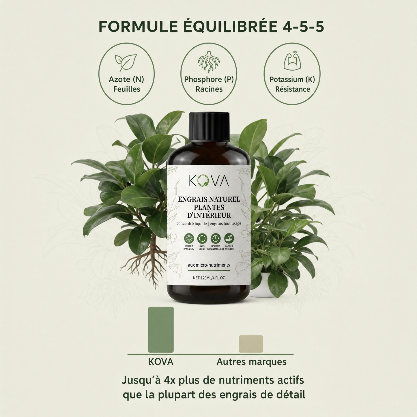 Kova Care® — Engrais Naturel pour Plantes d'Intérieur