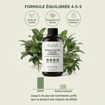 Kova Care® — Engrais Naturel pour Plantes d'Intérieur
