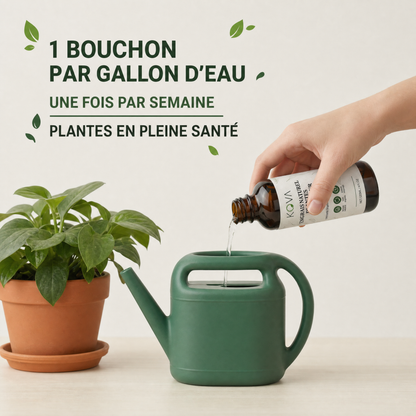 Kova Care® — Engrais Naturel pour Plantes d'Intérieur
